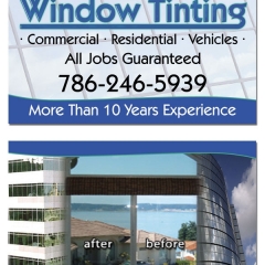 Window Tinting Business Cards