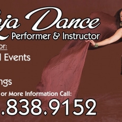 Raja Dance Business Cards